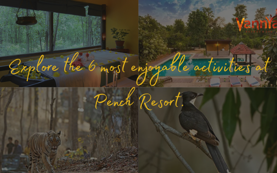 Explore the 6 most enjoyable activities at Pench Resort.