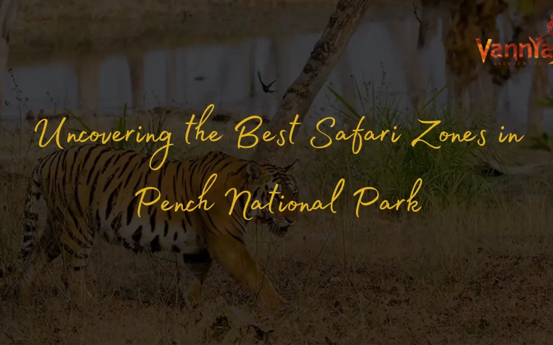 Uncovering the Best Safari Zones in Pench National Park