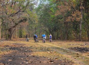 Pench Nature Walks 